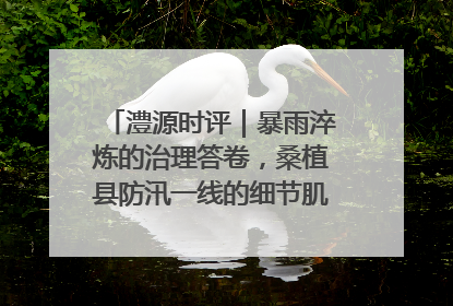 澧源时评｜暴雨淬炼的治理答卷，桑植县防汛一线的细节肌理与体系力量
