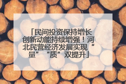 民间投资保持增长 创新动能持续增强！河北民营经济发展实现“量”“质”双提升
