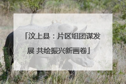 汶上县：片区组团谋发展 共绘振兴新画卷