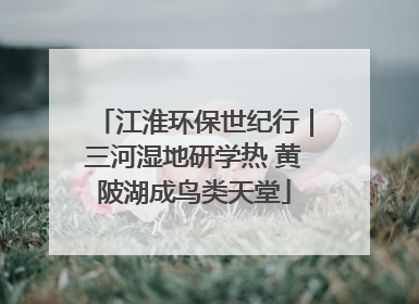 江淮环保世纪行｜三河湿地研学热 黄陂湖成鸟类天堂