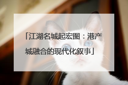江湖名城起宏图：港产城融合的现代化叙事