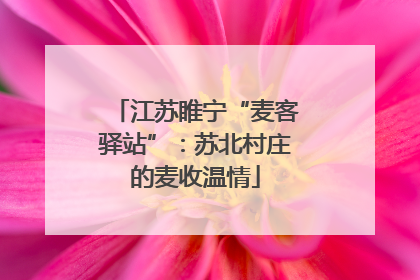 江苏睢宁“麦客驿站”：苏北村庄的麦收温情