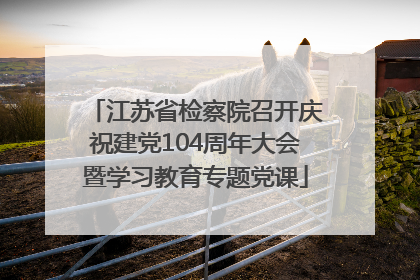 江苏省检察院召开庆祝建党104周年大会暨学习教育专题党课