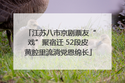 江苏八市京剧票友“戏”聚宿迁 52段皮黄腔里流淌党恩绵长