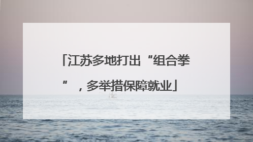 江苏多地打出“组合拳”，多举措保障就业