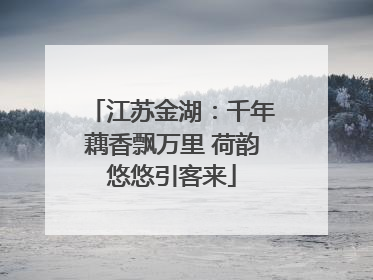 江苏金湖：千年藕香飘万里 荷韵悠悠引客来