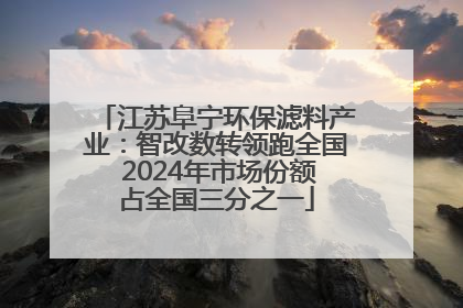 江苏阜宁环保滤料产业：智改数转领跑全国 2024年市场份额占全国三分之一