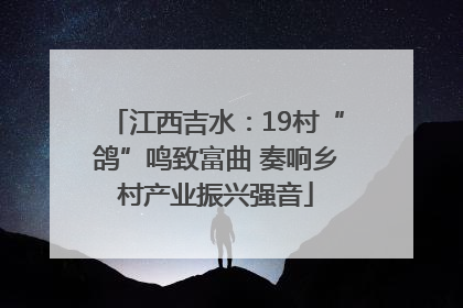江西吉水：19村“鸽”鸣致富曲 奏响乡村产业振兴强音