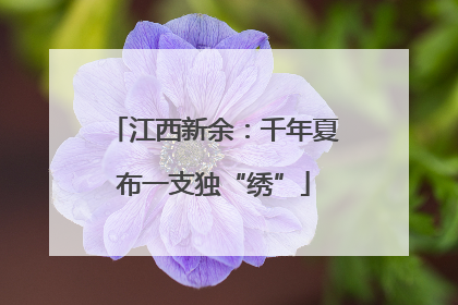 江西新余：千年夏布一支独“绣”
