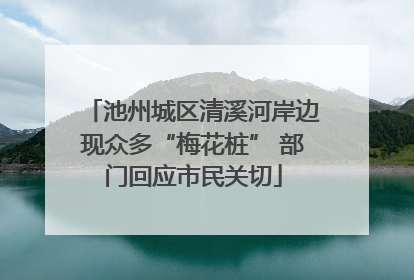 池州城区清溪河岸边现众多“梅花桩” 部门回应市民关切