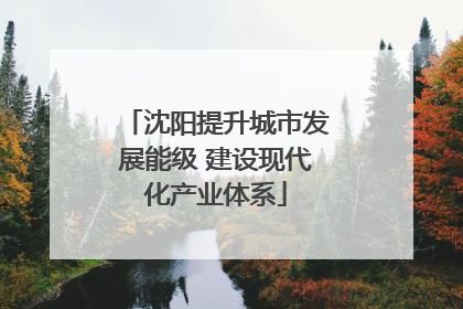 沈阳提升城市发展能级 建设现代化产业体系