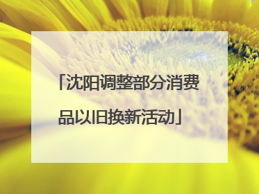 沈阳调整部分消费品以旧换新活动