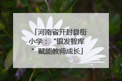 河南省开封县街小学：“银发智库”赋能教师成长