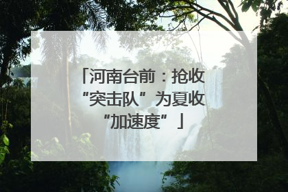 河南台前：抢收“突击队”为夏收“加速度”