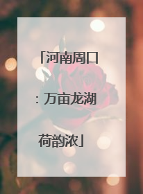 河南周口：万亩龙湖荷韵浓