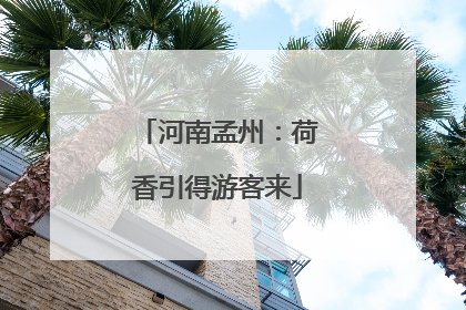 河南孟州:荷香引得游客来