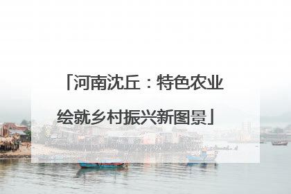 河南沈丘：特色农业绘就乡村振兴新图景