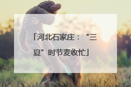 河北石家庄：“三夏”时节麦收忙