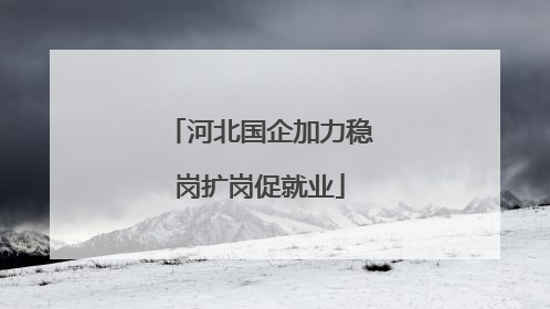 河北国企加力稳岗扩岗促就业