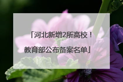 河北新增2所高校！教育部公布备案名单