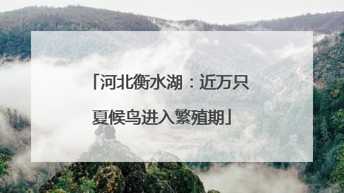 河北衡水湖：近万只夏候鸟进入繁殖期