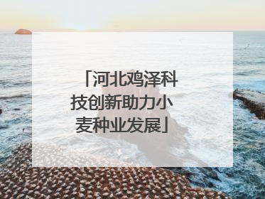 河北鸡泽科技创新助力小麦种业发展
