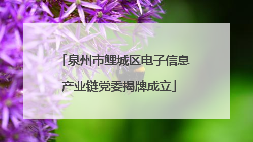 泉州市鲤城区电子信息产业链党委揭牌成立