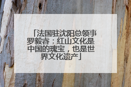 法国驻沈阳总领事罗毅睿：红山文化是中国的瑰宝，也是世界文化遗产