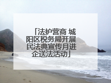 法护营商 城阳区税务局开展民法典宣传月进企送法活动