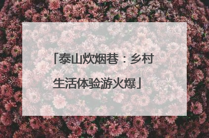 泰山炊烟巷：乡村生活体验游火爆