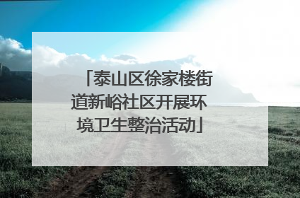 泰山区徐家楼街道新峪社区开展环境卫生整治活动