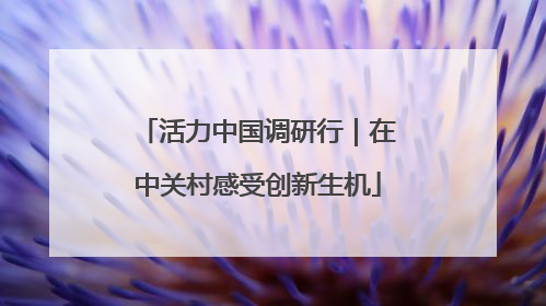 活力中国调研行｜在中关村感受创新生机