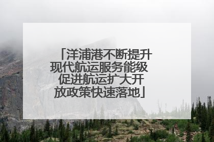洋浦港不断提升现代航运服务能级 促进航运扩大开放政策快速落地