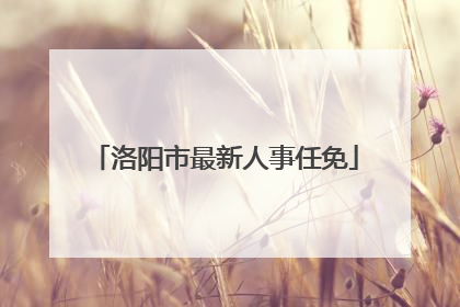 洛阳市最新人事任免