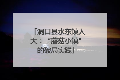 洞口县水东镇人大：“蘑菇小镇”的破局实践