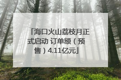 海口火山荔枝月正式启动 订单额（预售）4.11亿元