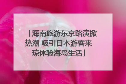 海南旅游东京路演掀热潮 吸引日本游客来琼体验海岛生活