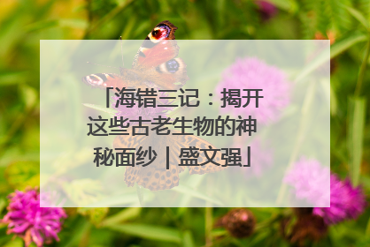 海错三记：揭开这些古老生物的神秘面纱｜盛文强