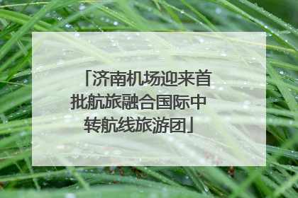 济南机场迎来首批航旅融合国际中转航线旅游团
