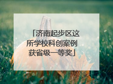 济南起步区这所学校科创案例获省级一等奖