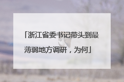 浙江省委书记带头到最薄弱地方调研，为何