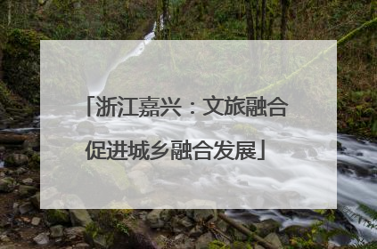 浙江嘉兴：文旅融合促进城乡融合发展