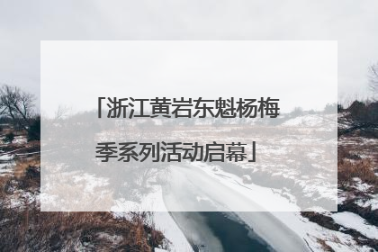 浙江黄岩东魁杨梅季系列活动启幕