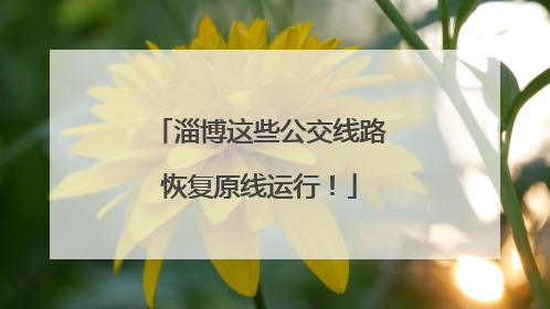 淄博这些公交线路恢复原线运行！