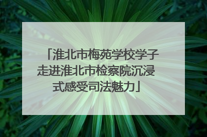 淮北市梅苑学校学子走进淮北市检察院沉浸式感受司法魅力