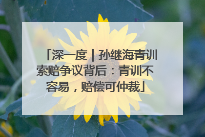 深一度｜孙继海青训索赔争议背后：青训不容易，赔偿可仲裁
