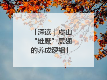 深读｜虞山“雄鹰”展翅的养成逻辑