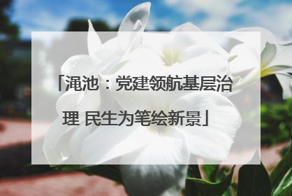 渑池：党建领航基层治理 民生为笔绘新景