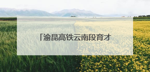 渝昆高铁云南段育才隧道顺利贯通 全线桥隧施工完成超90%