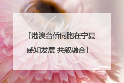 港澳台侨同胞在宁夏感知发展 共叙融合